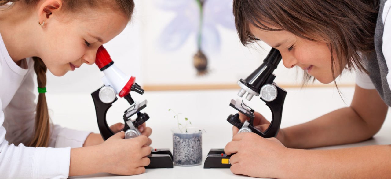 микроскопы детские в Тольятти